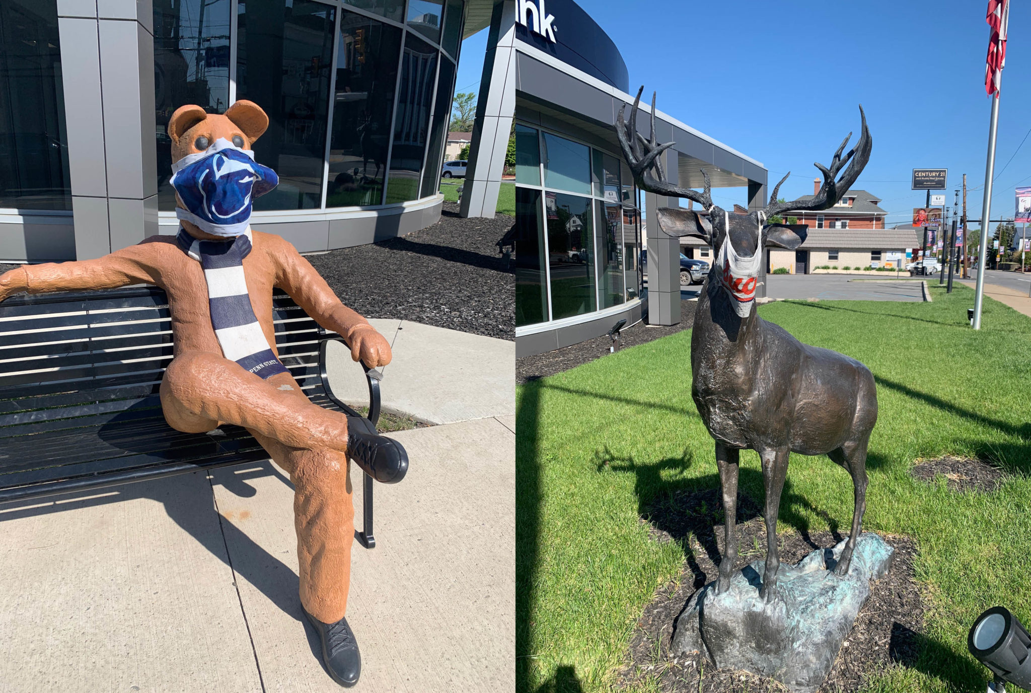 FNCB Bank Removes Masks on Dunmore Buck and Penn State Nittany Lion