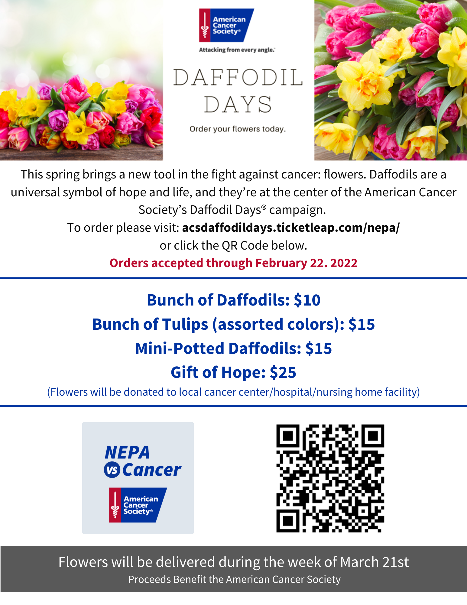 American Cancer Society Daffodil Days The Greater Scranton Chamber