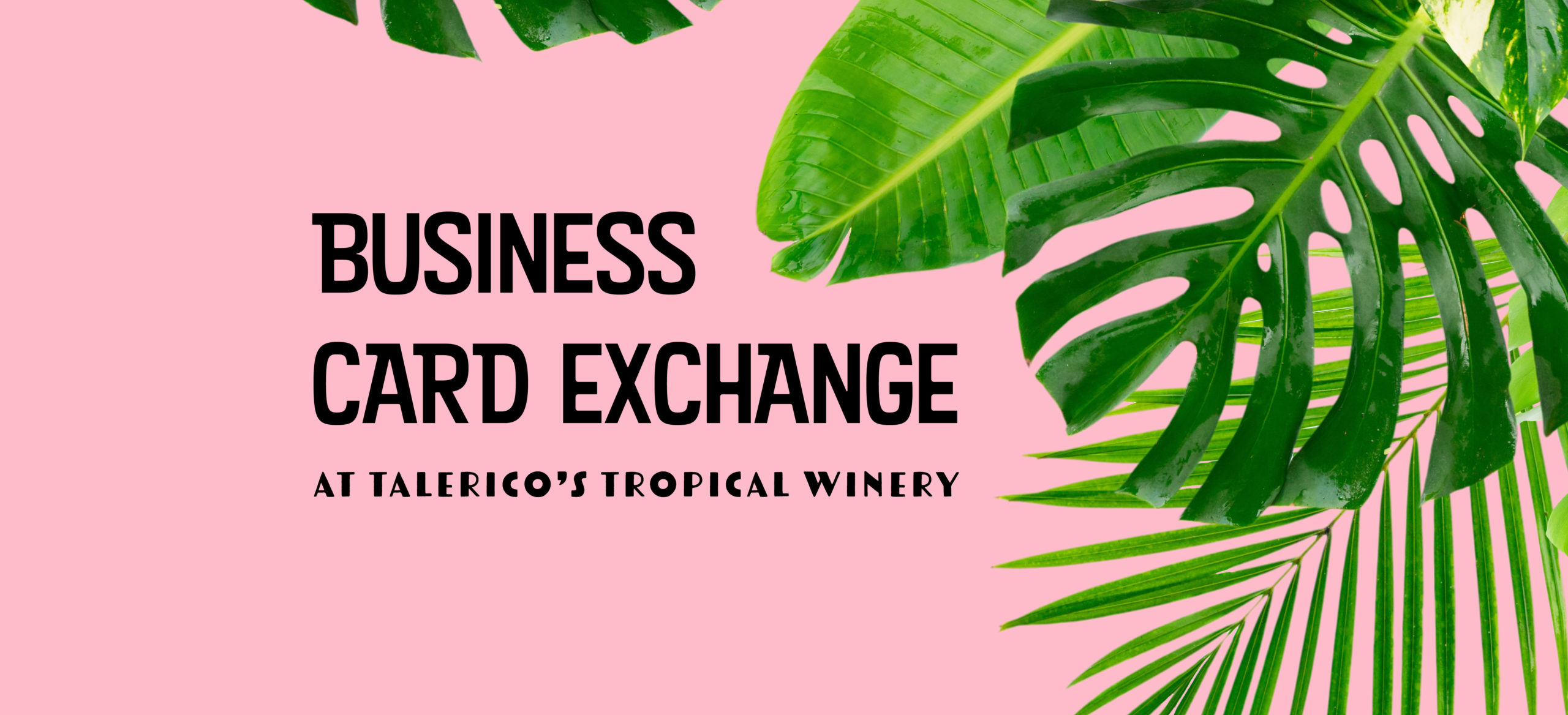 Business Card Exchange at Talerico’s Tropical Winery