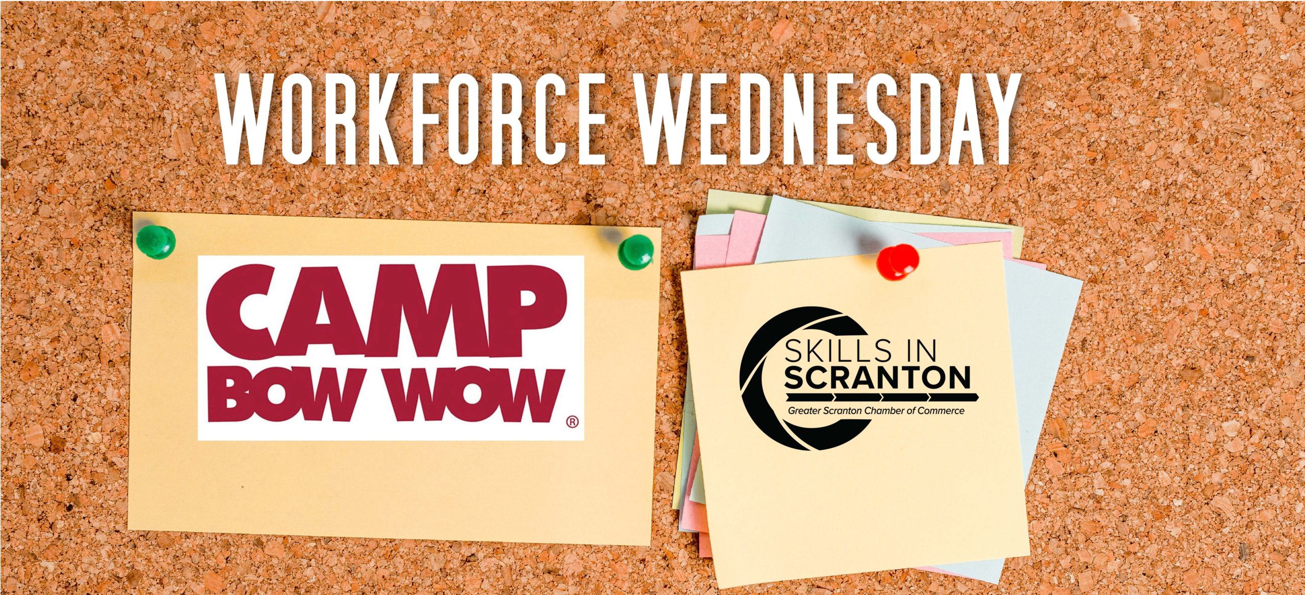 Workforce Wednesday: Camp Bow Wow