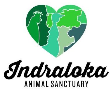 Indraloka Animal Sanctuary Host Ribbon-Cutting Ceremony